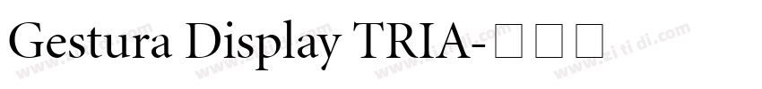 Gestura Display TRIA字体转换